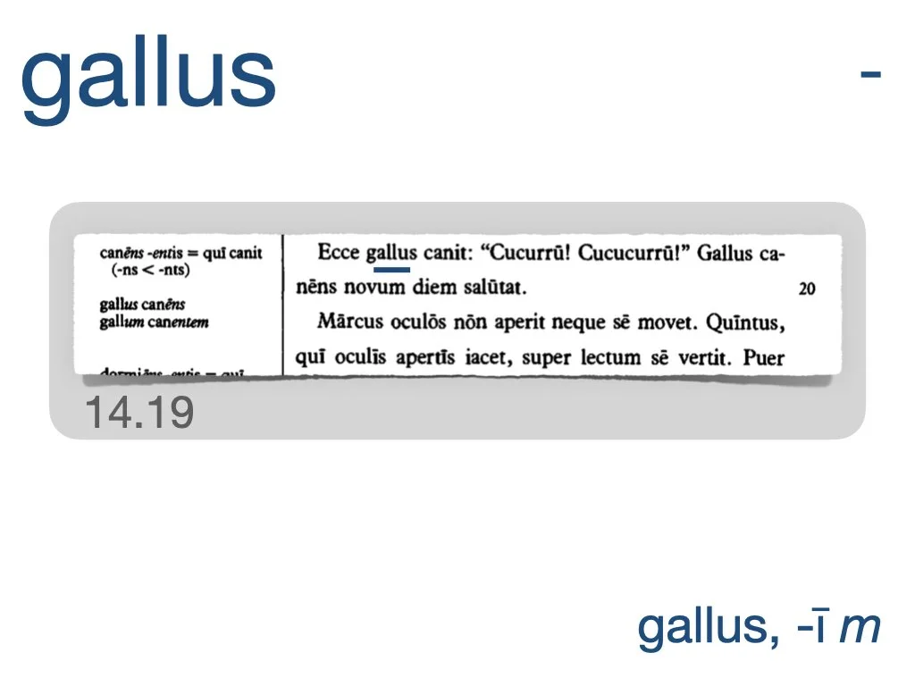 LLPSI Vocabulary Slides 14.001.jpeg