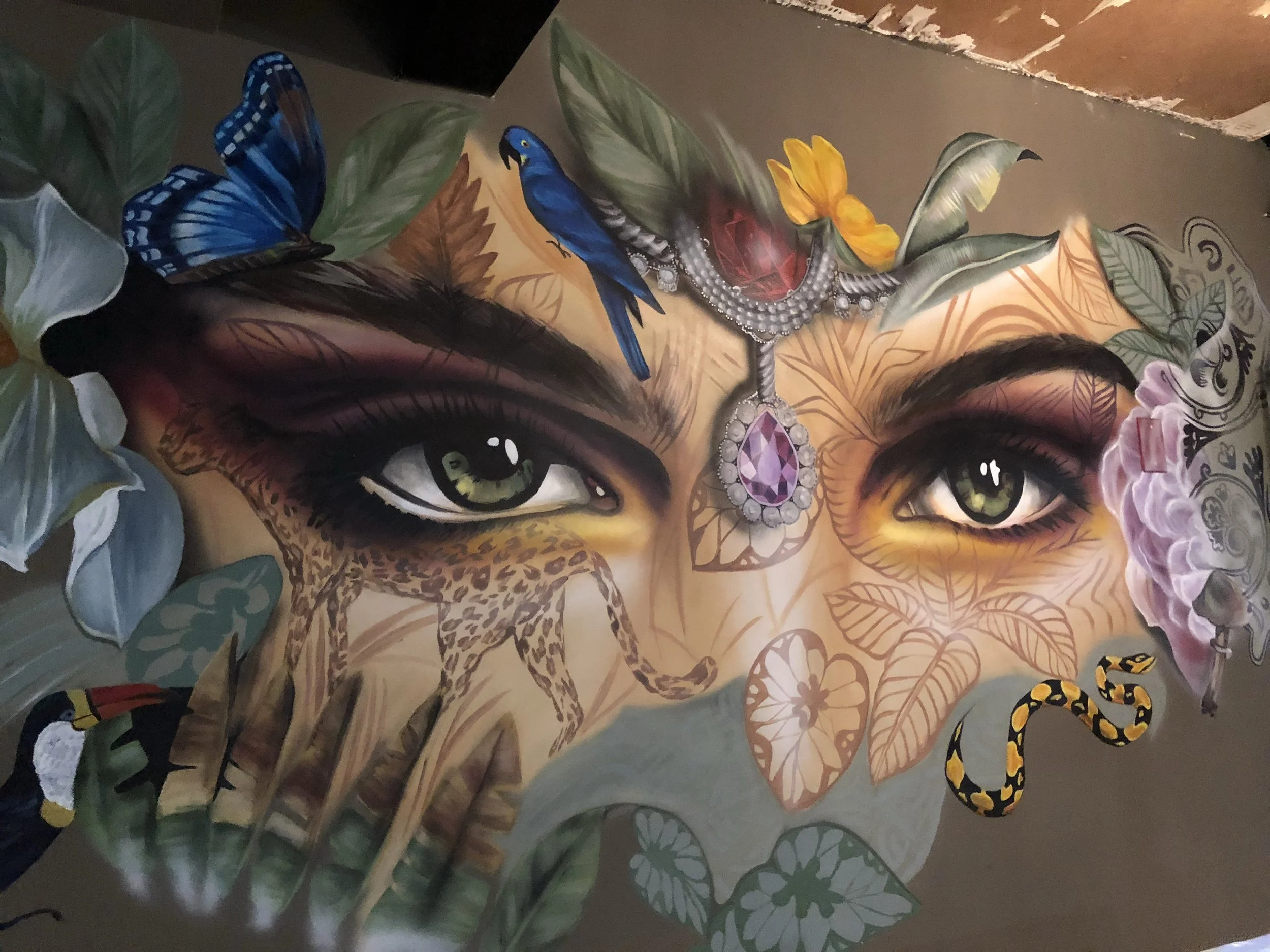 Austin, TX - Devil May Care