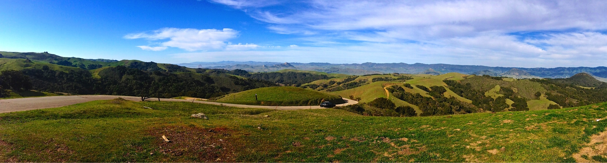 The road to wellness may seem long, but the journey can be beautiful!