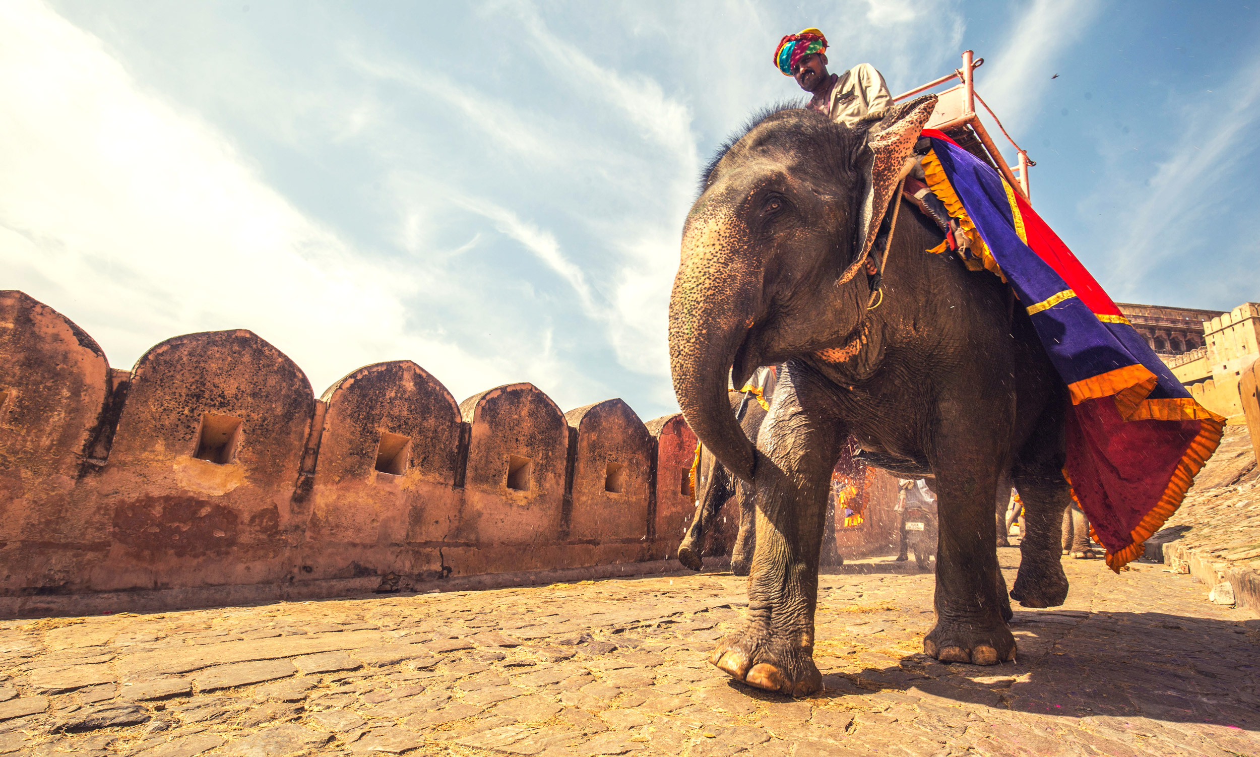 Copy of Elephant taxi, Amber Fort