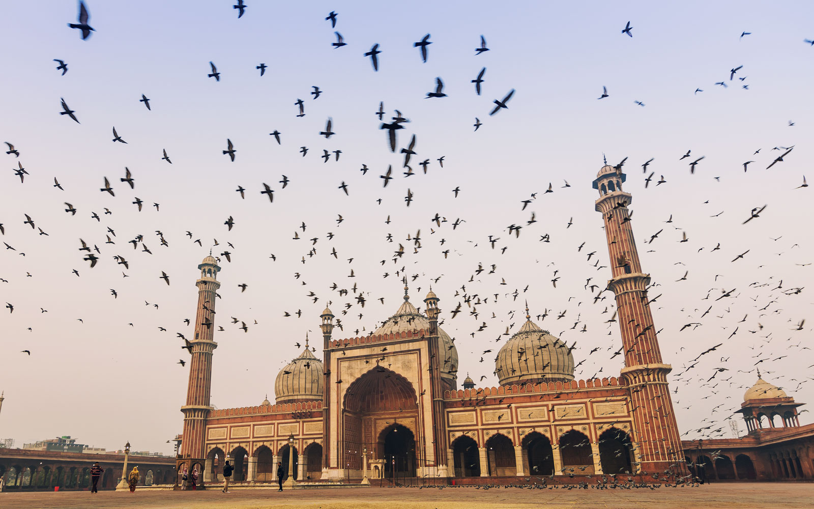  The historic Jama Masjid, Old Delhi. 