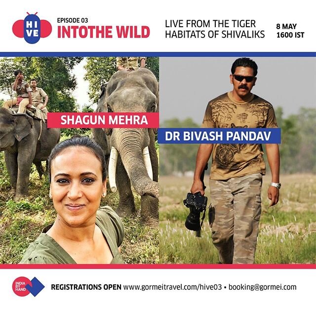 INTO THE WILD 
Registration link in bio. .

Bring the jungle into your home  tomorrow , Friday May 8 at 4 pm IST on Zoom with #indiabyhand. 
Join scientist Dr Bivash Pandav from the Wildlife Institute of India @wii_dehradun in conversation with Chef 