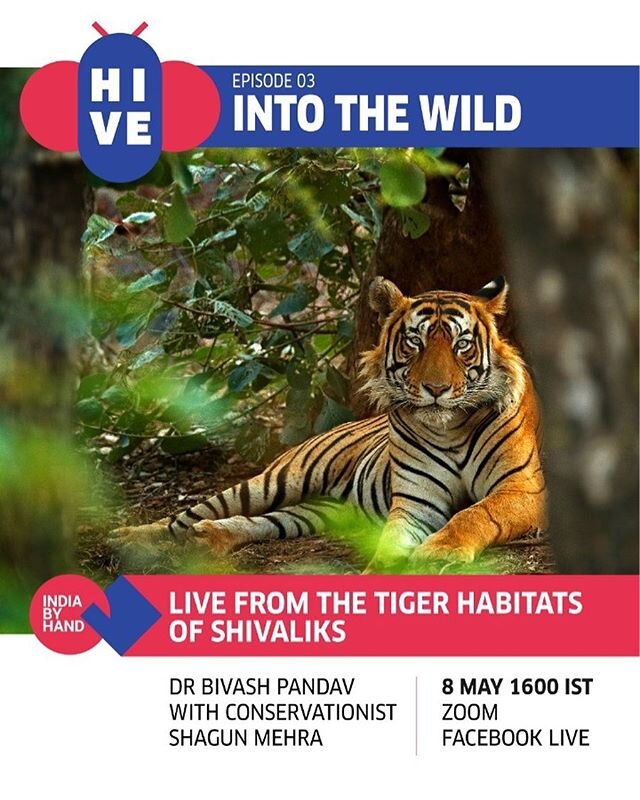 WELCOME TO THE JUNGLE 
Registration link in bio. 
Bring the jungle into your home  tomorrow , Friday May 8 at 4 pm IST on Zoom with #indiabyhand. 
Join scientist Dr Bivash Pandav from the Wildlife Institute of India @wii_dehradun in conversation with
