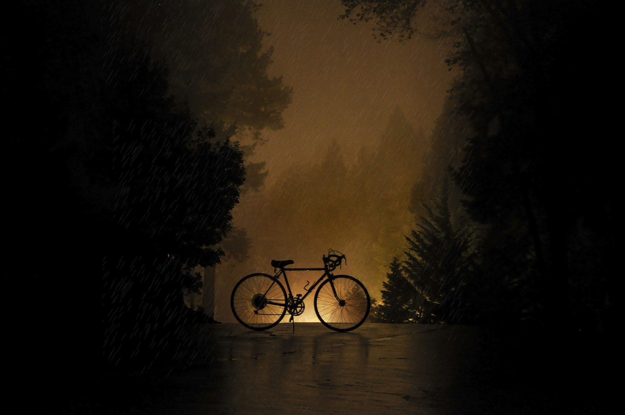 photo by Michael Quinn