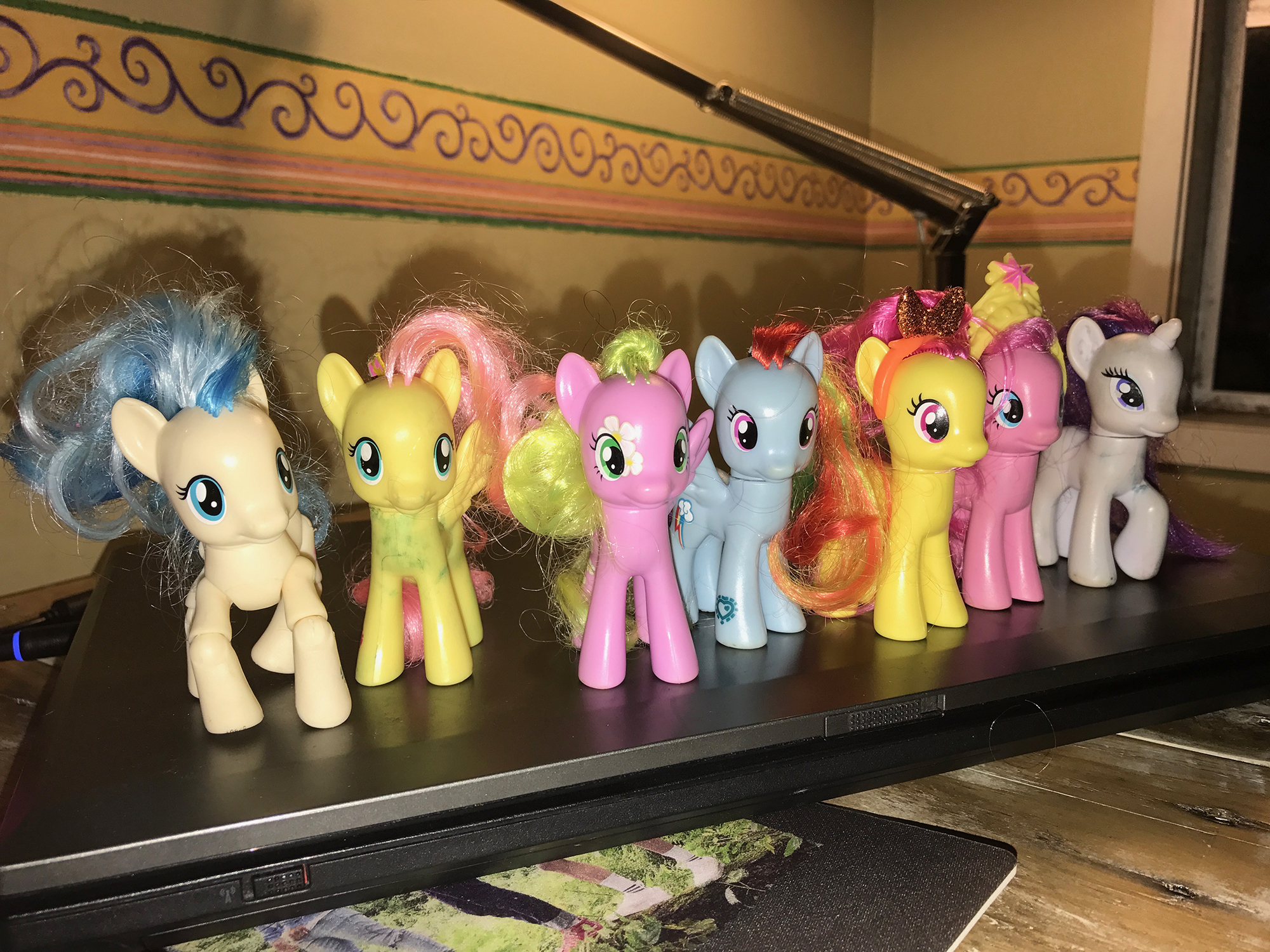 China Rae's ponies