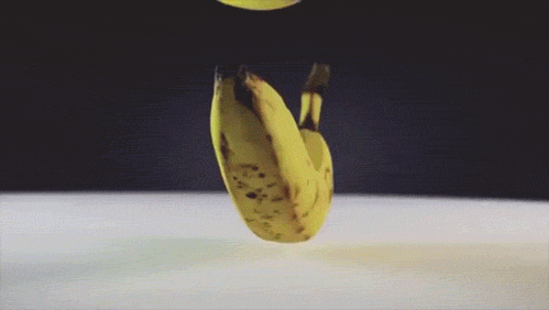 tumblr_ol5nopCLi51qg39ewo1_500.gif