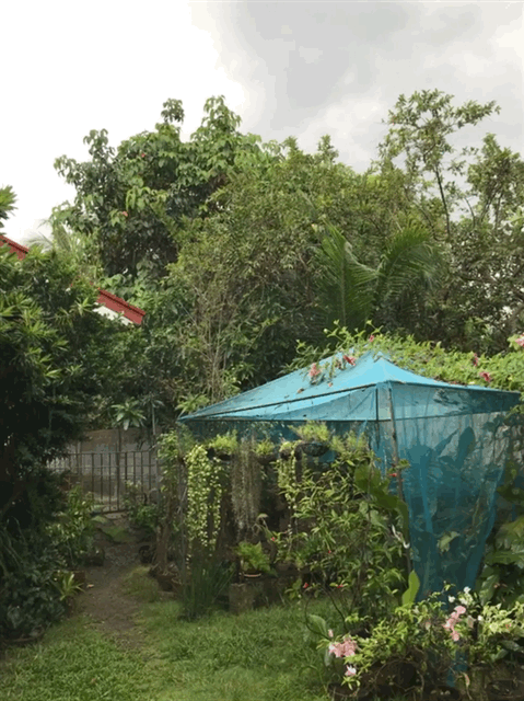 Https Encrypted Tbn0 Gstatic Com Images Q Tbn 3aand9gcslcigopq0x3tfoi9hc3linjtmymu0rjty4kb8gquzszhfapohl