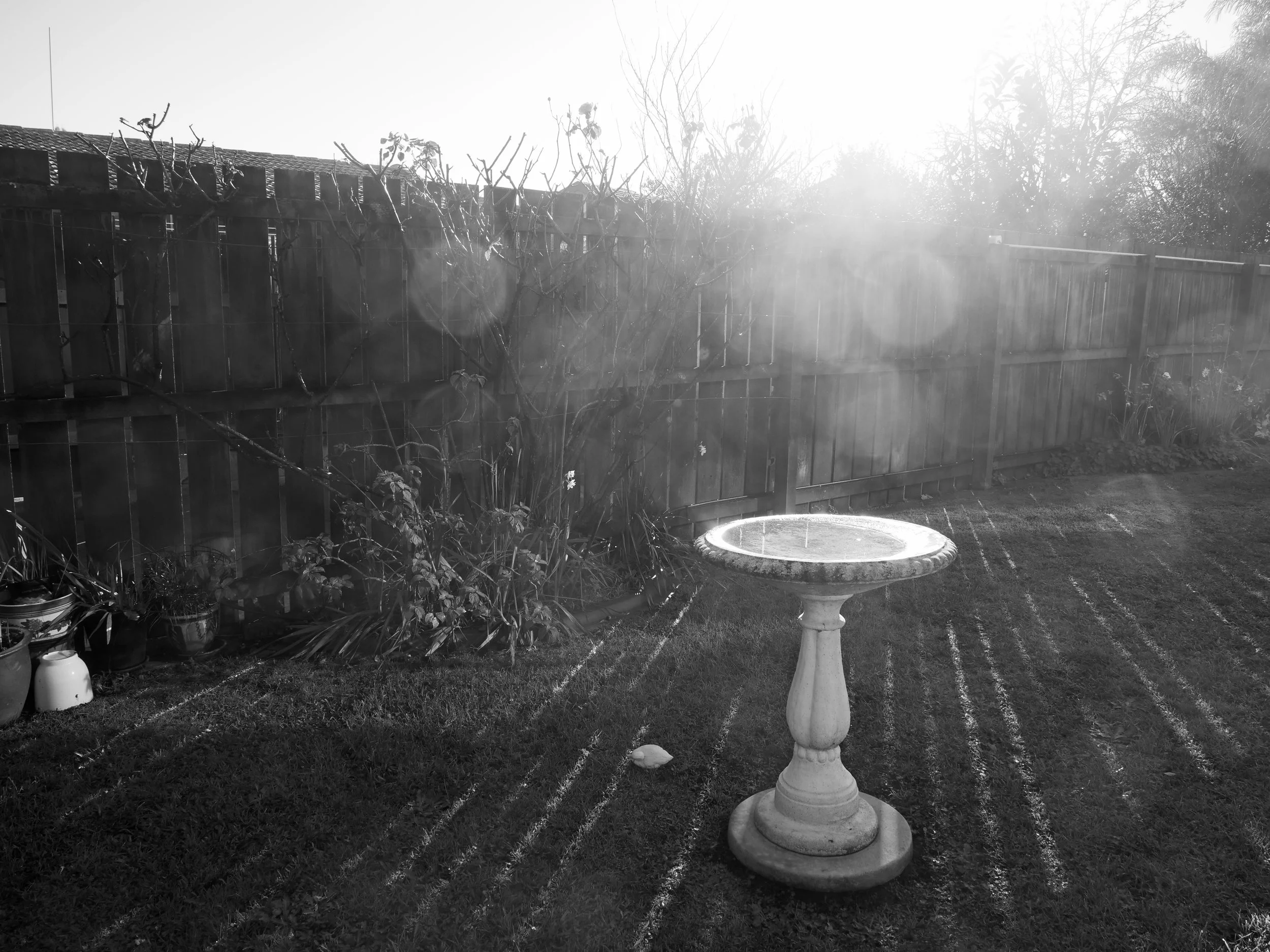 newmonochrome.jpg