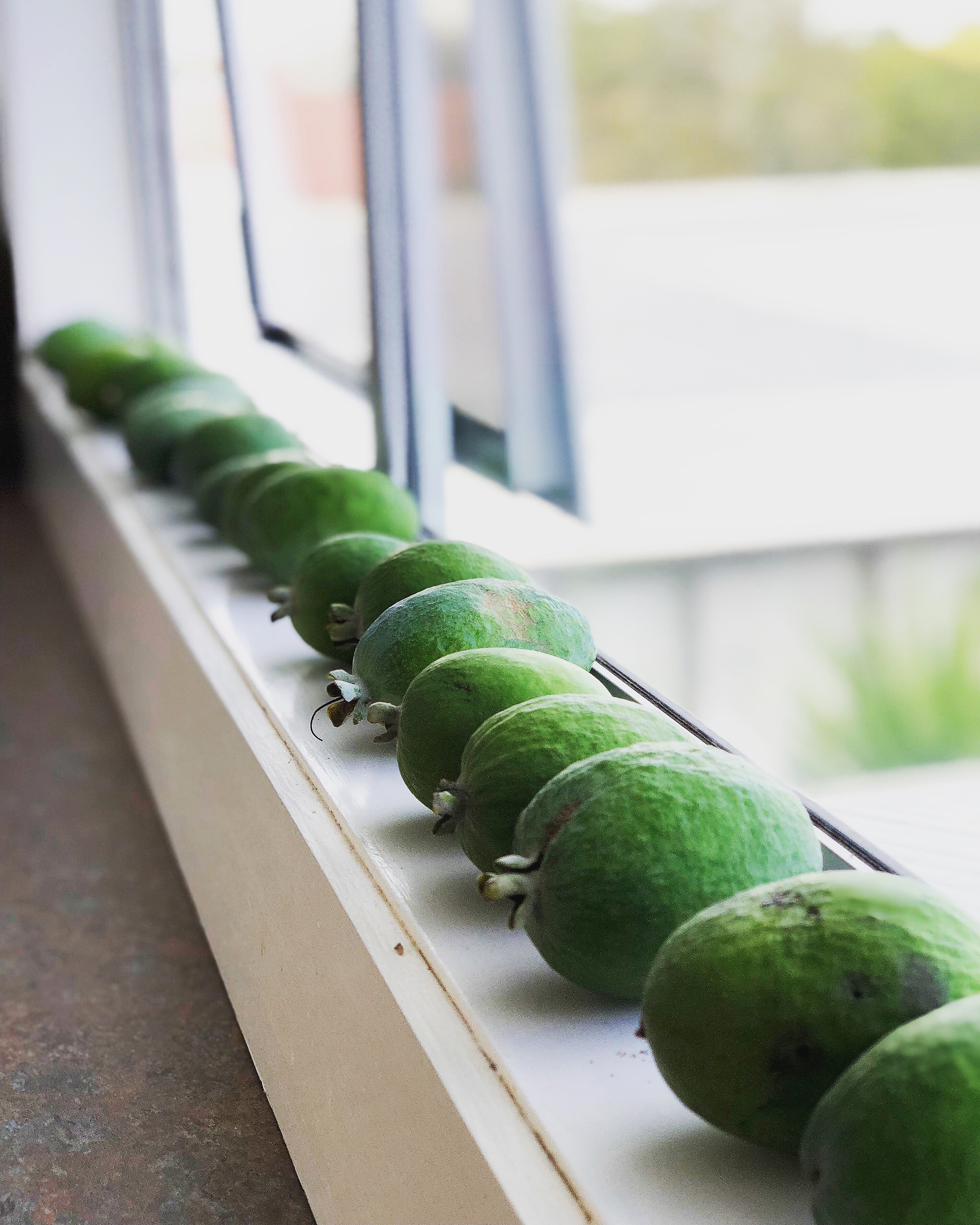 Feijoas