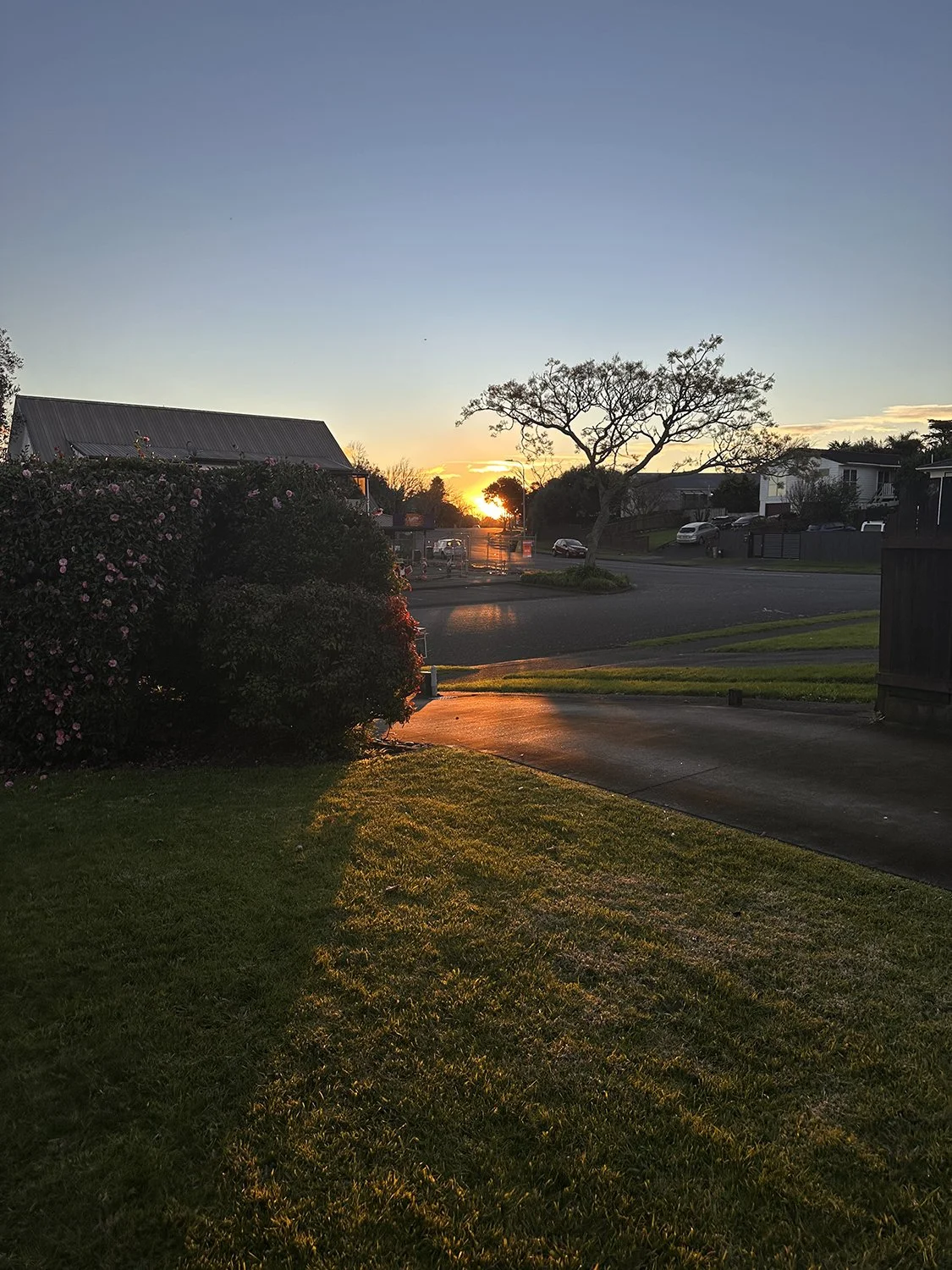 winter sunset.jpg