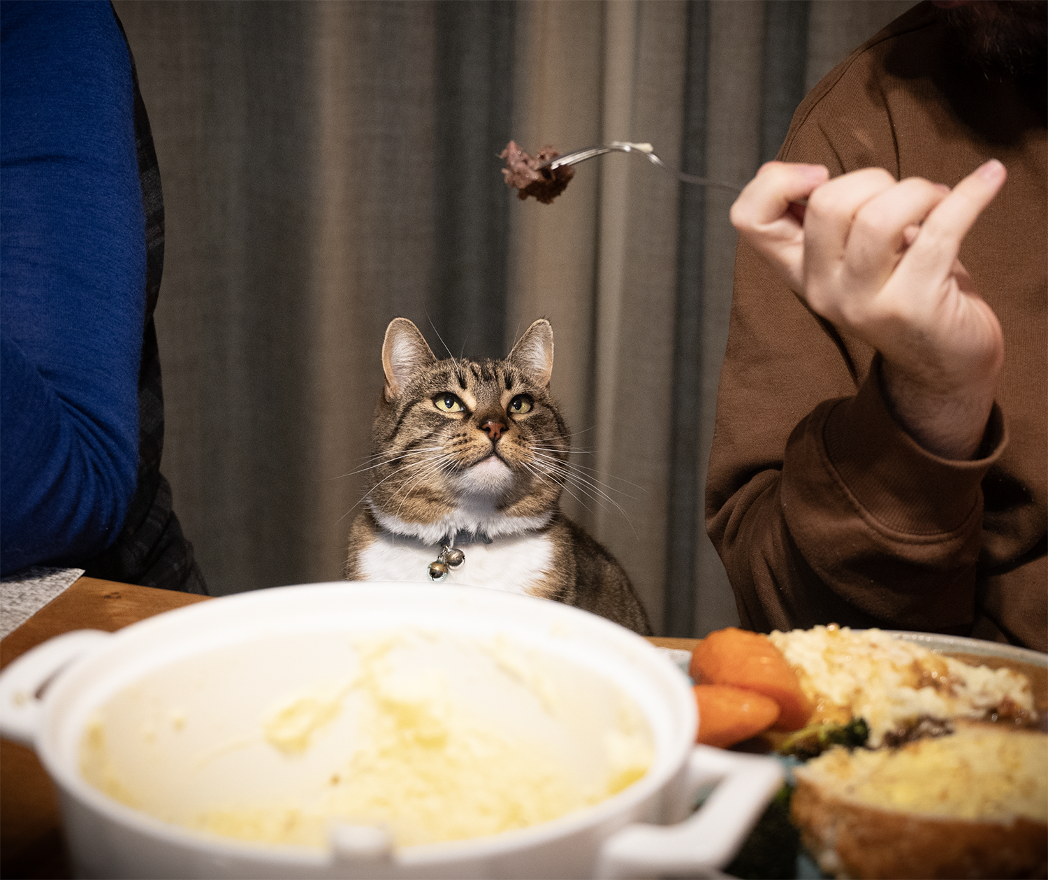 Lily.png