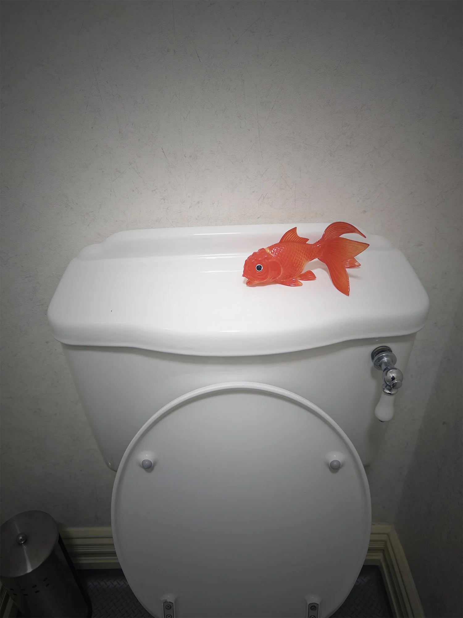 plastic fish.jpg