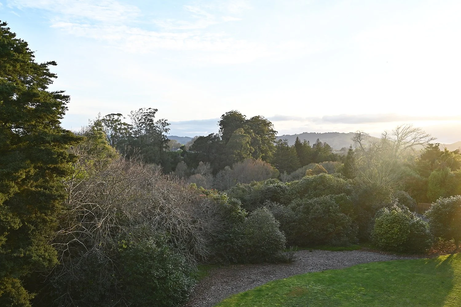 outside my window.jpg