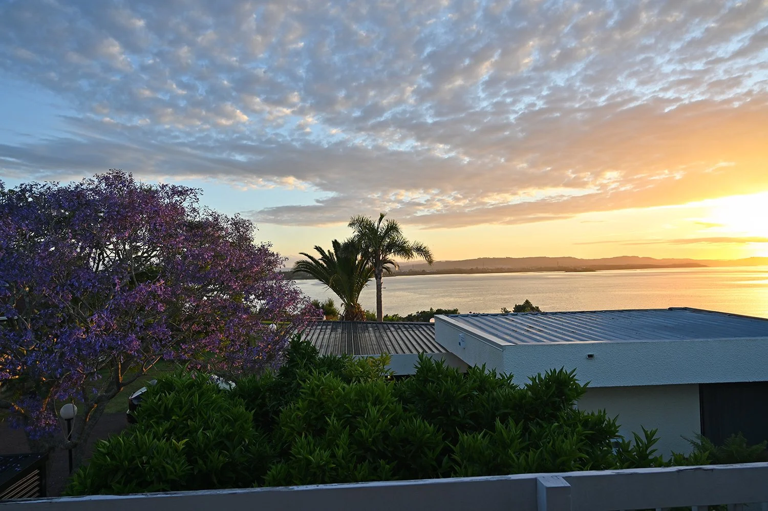 sunrise wattle downs.jpg