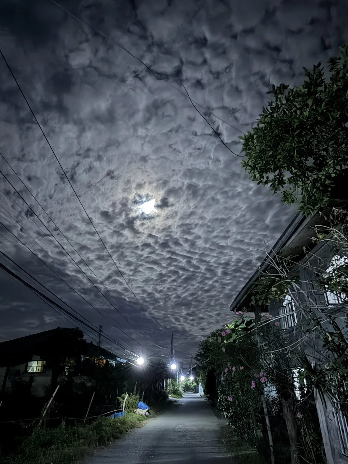 Naguilayan, 8:17pm 3/01/2026