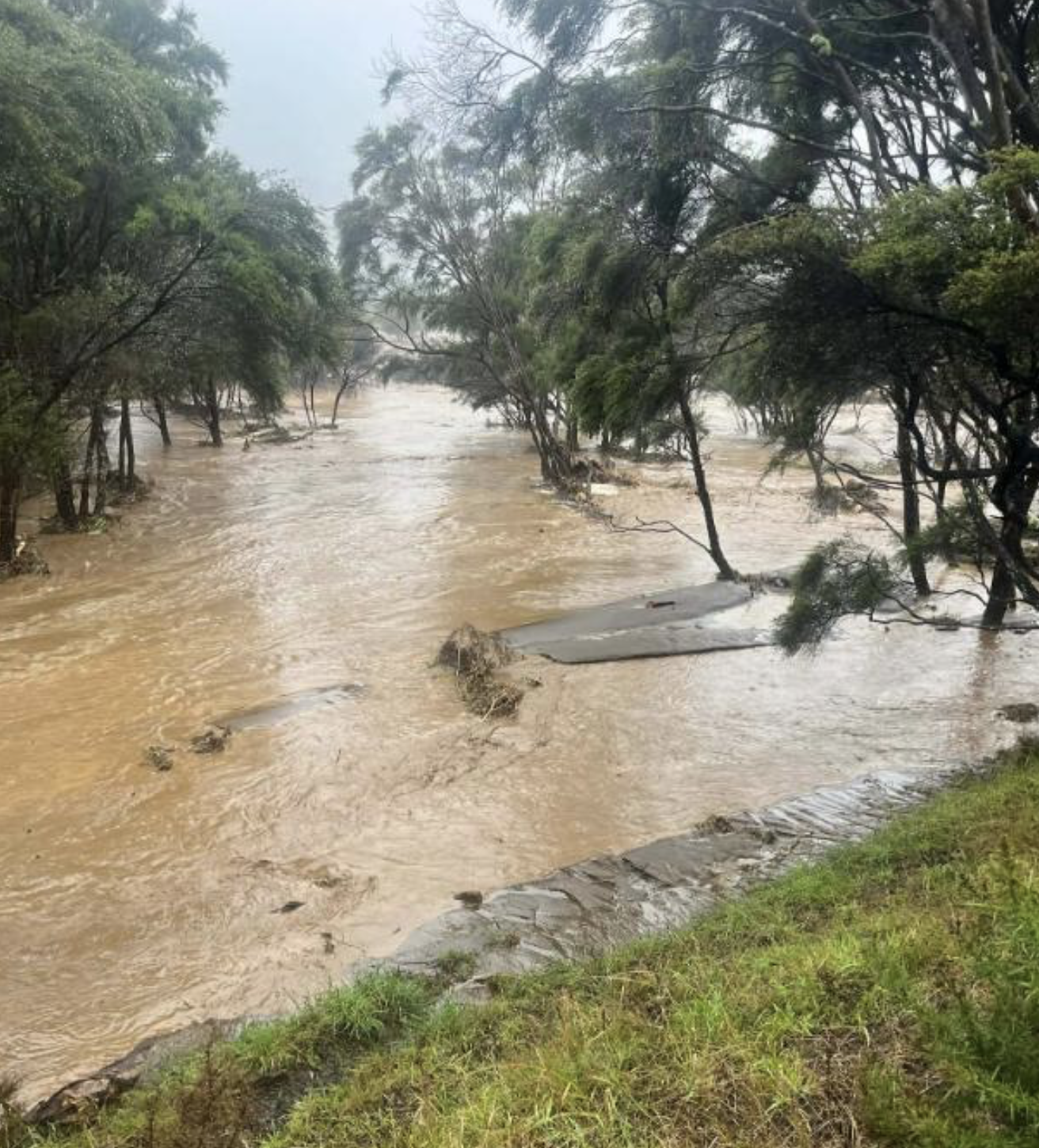 Screenshot 2026-01-22 at 5.20.15 PM.png