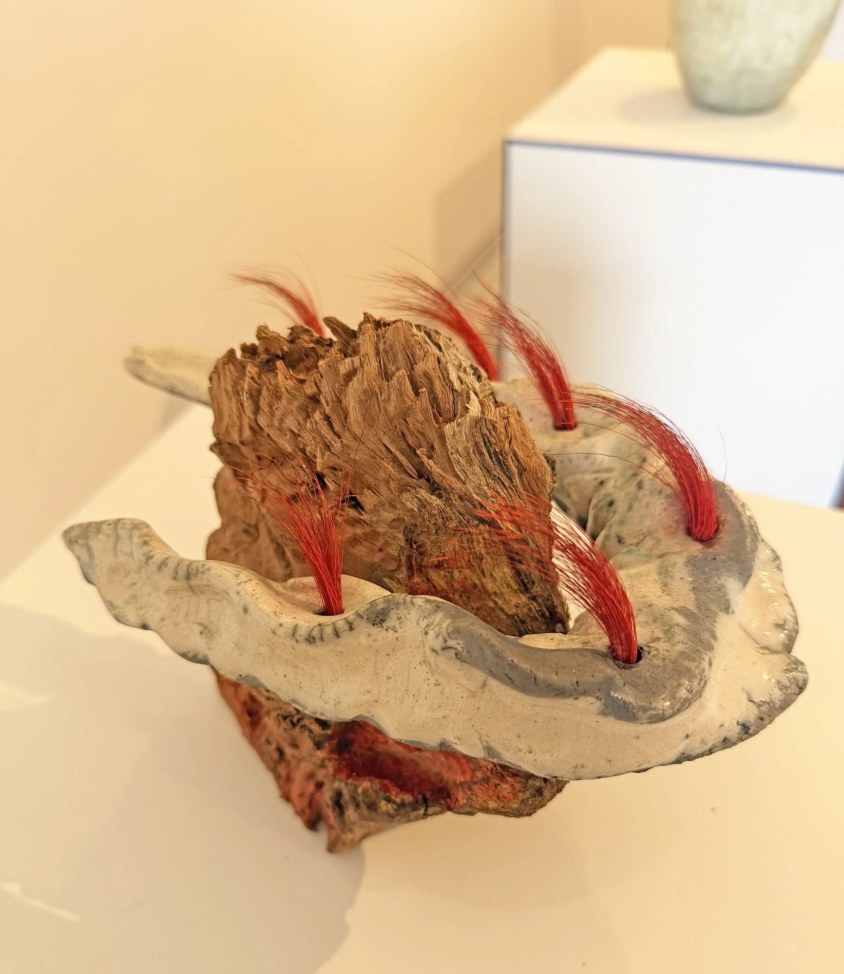 Auckland Studio potters.jpeg