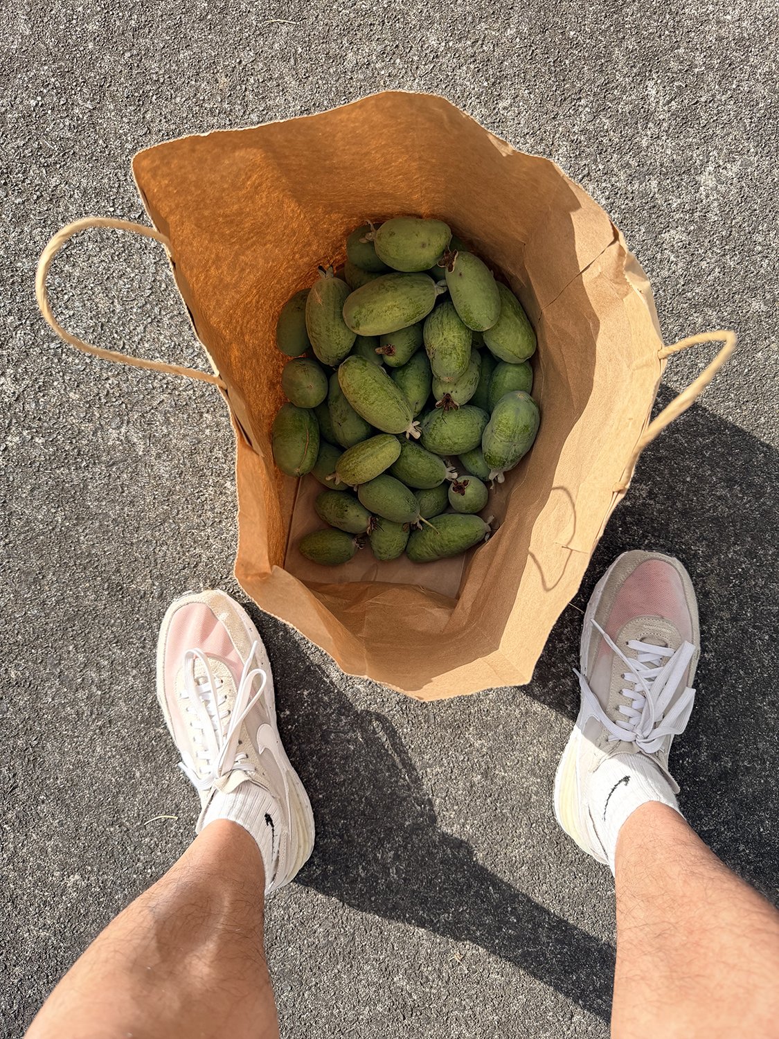 feijoas.jpg