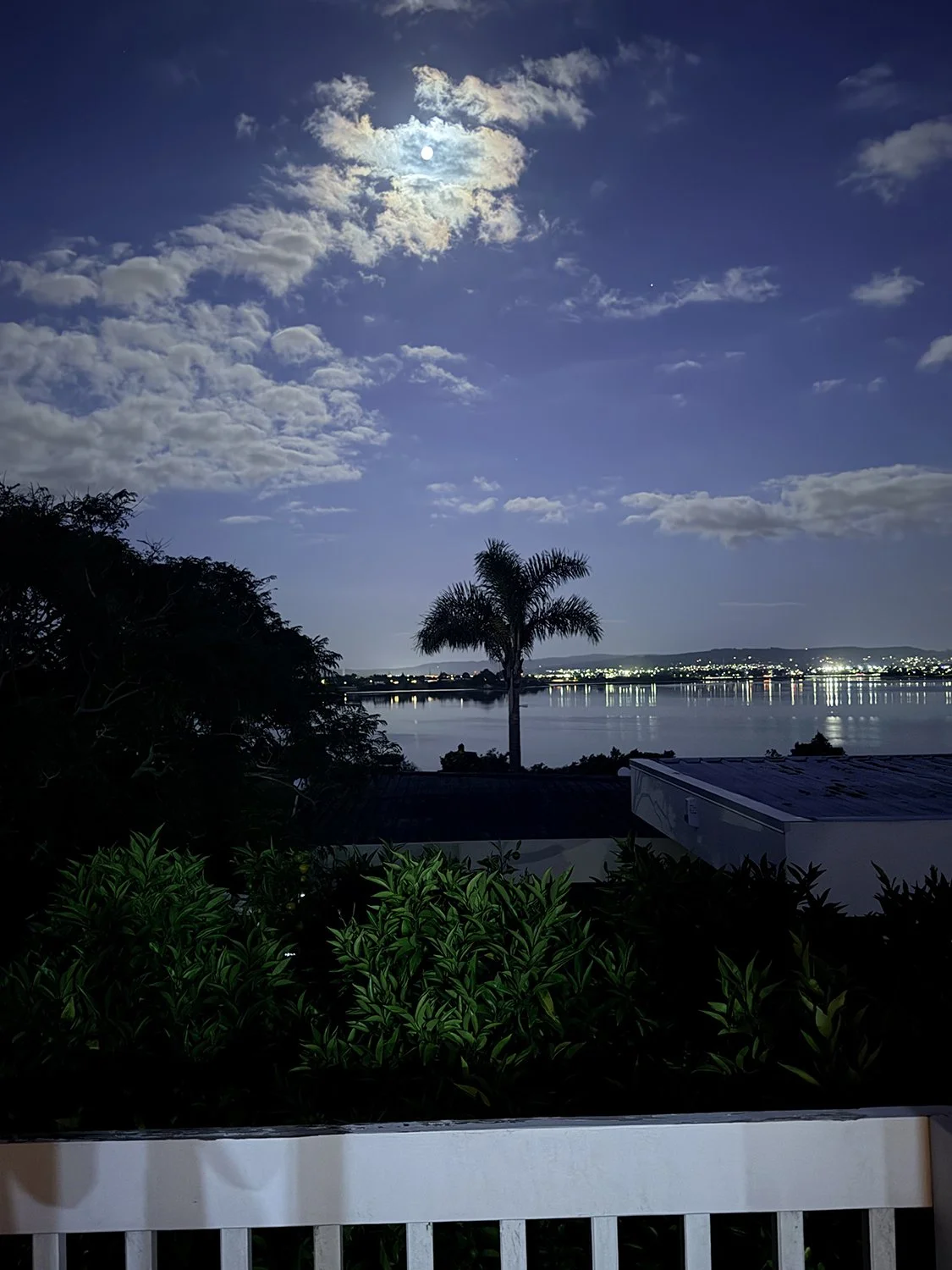 moonlight night sky.jpg
