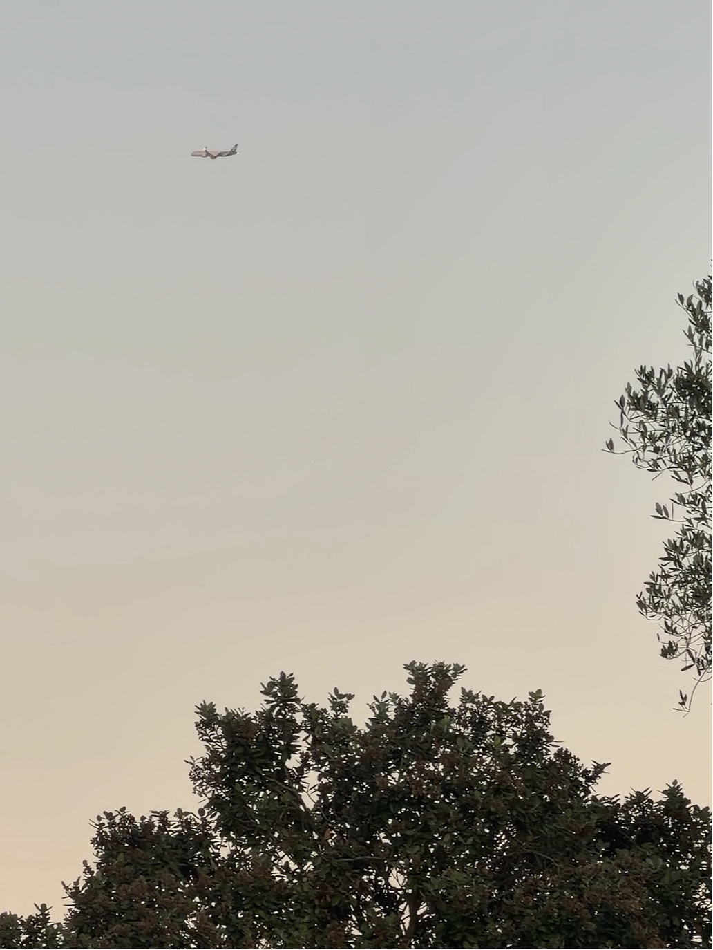 dawn sky with plane.png