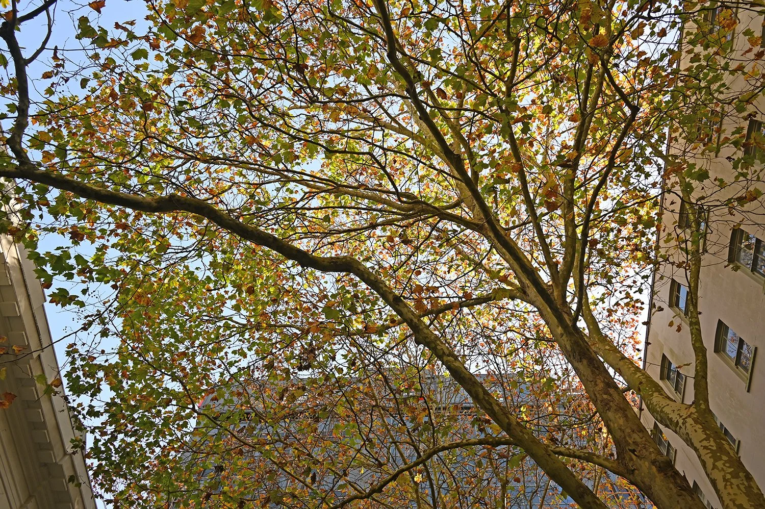On the cusp of winter