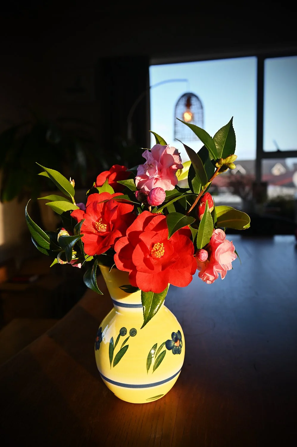 camellias.jpg