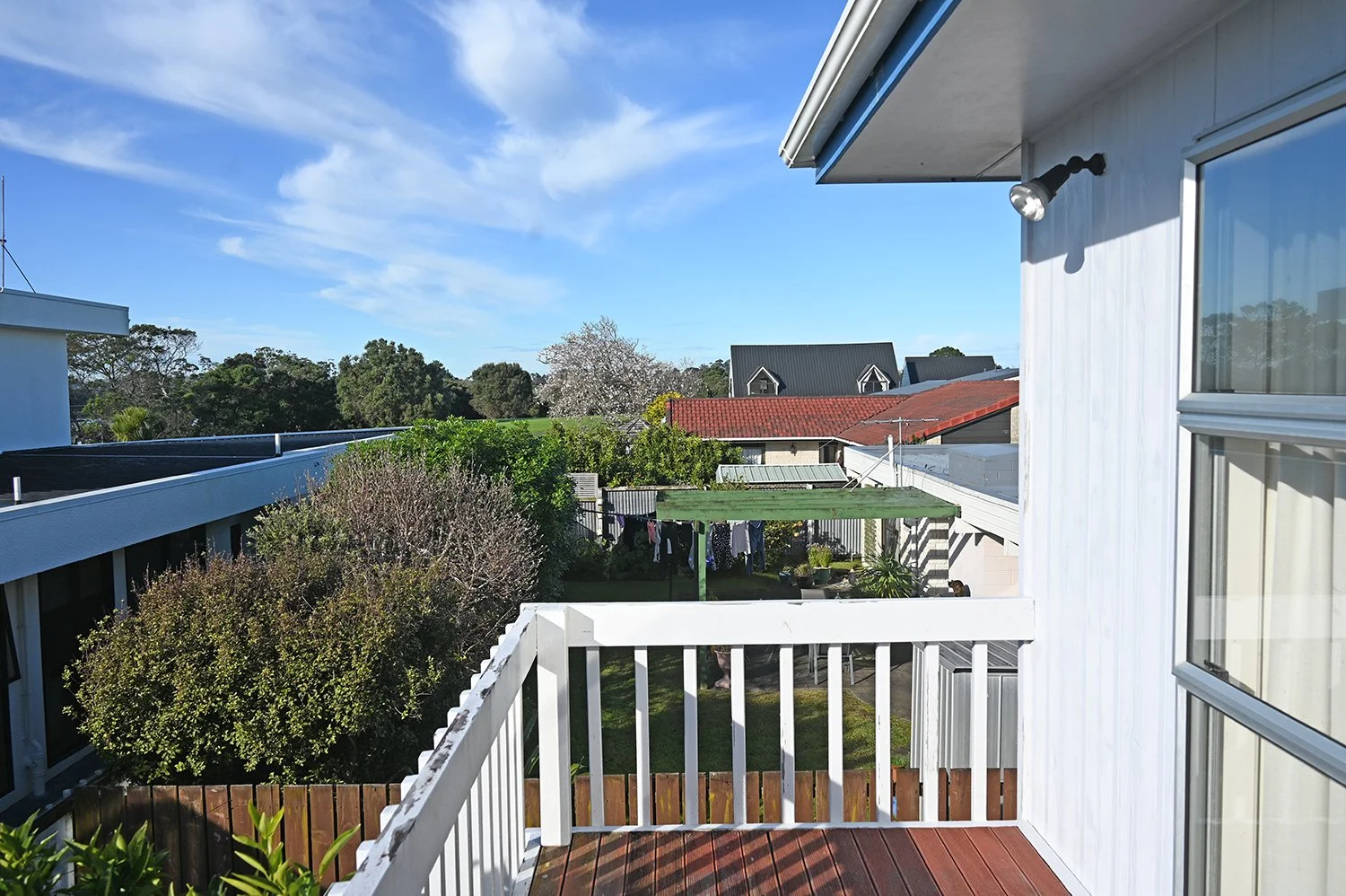 sunny auckland day.jpg