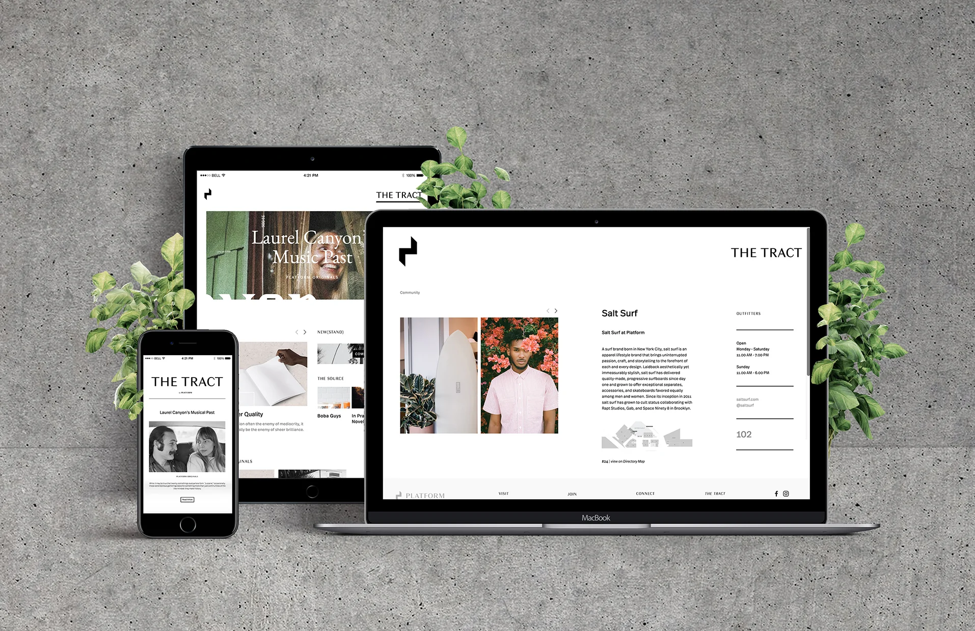 Website + Editorial Design