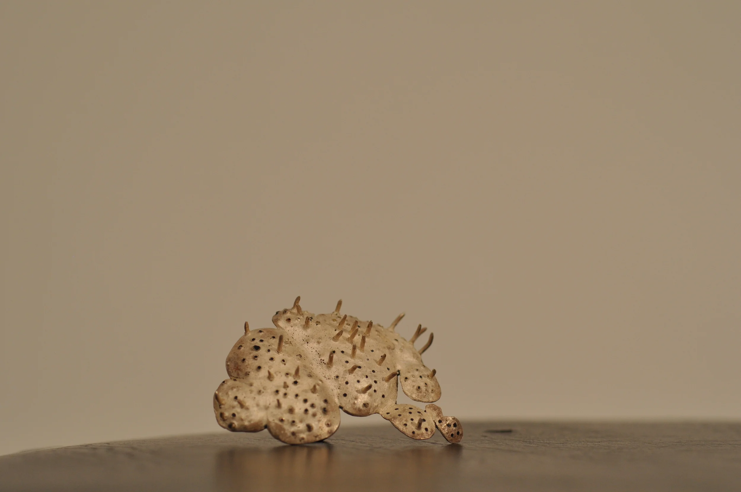 DSC_0147.JPG