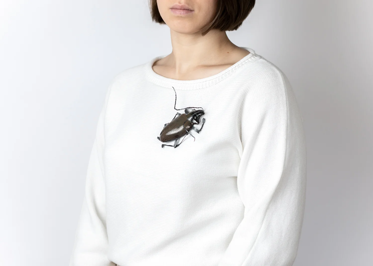 Coleoptera_image 3_low.jpg