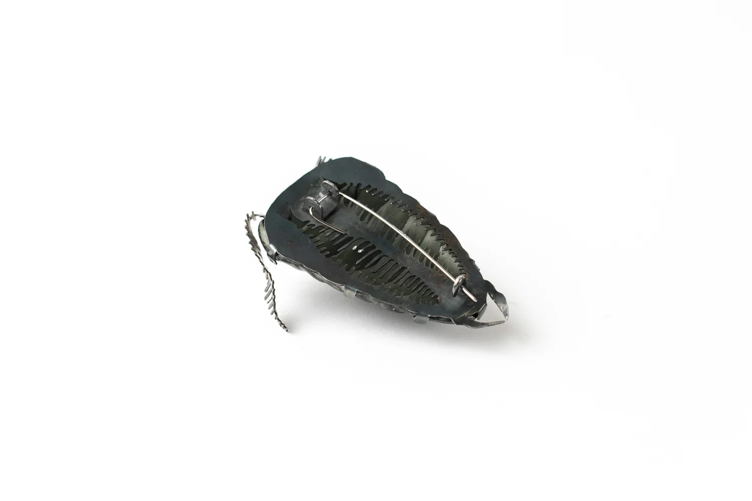 Sam_Denis_Bugs_web-8.jpg