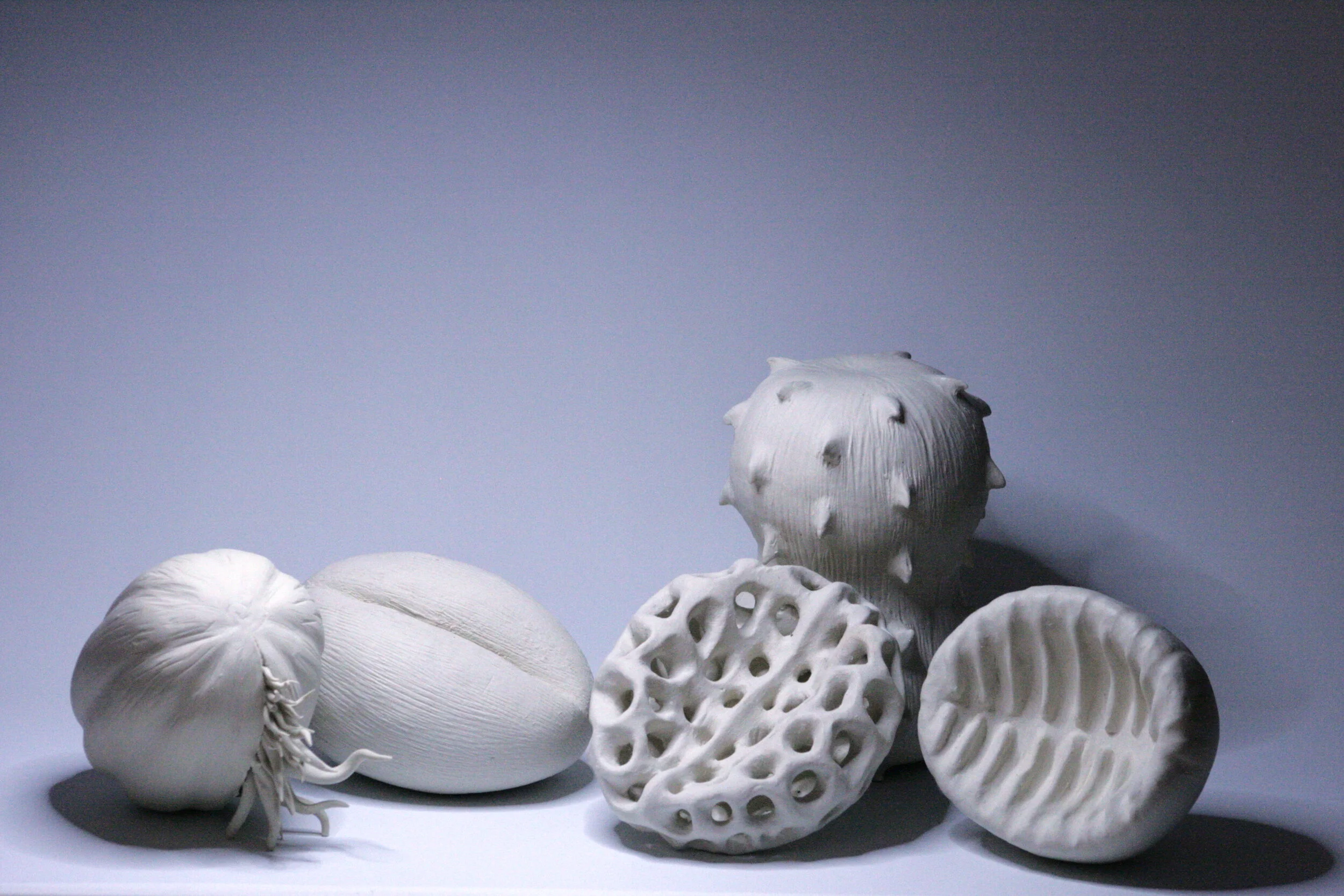 germination_full set_porcelain 2019_SDENNIS.jpg