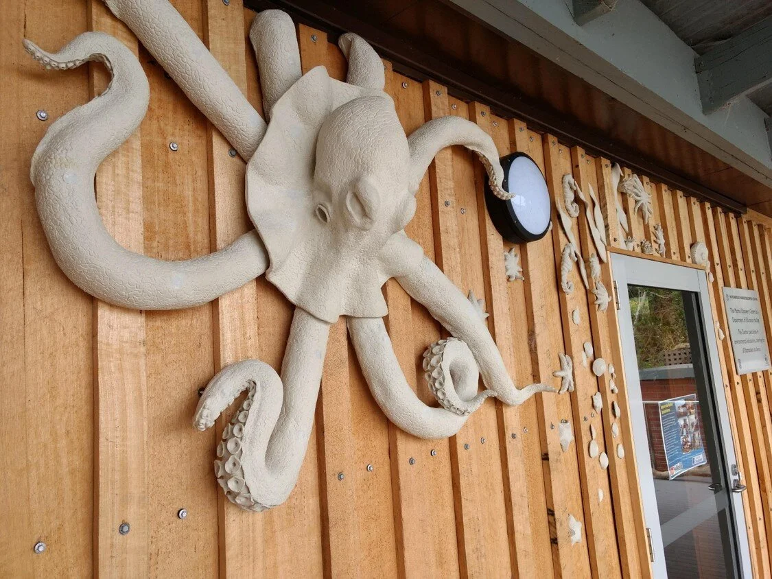 Woodbridge Marine Studies Centre Commission.jpg