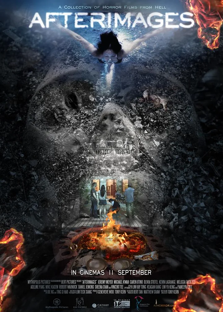 AfterImages-2014.jpg