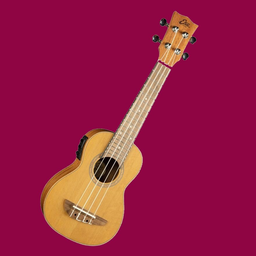 Corso di Ukulele