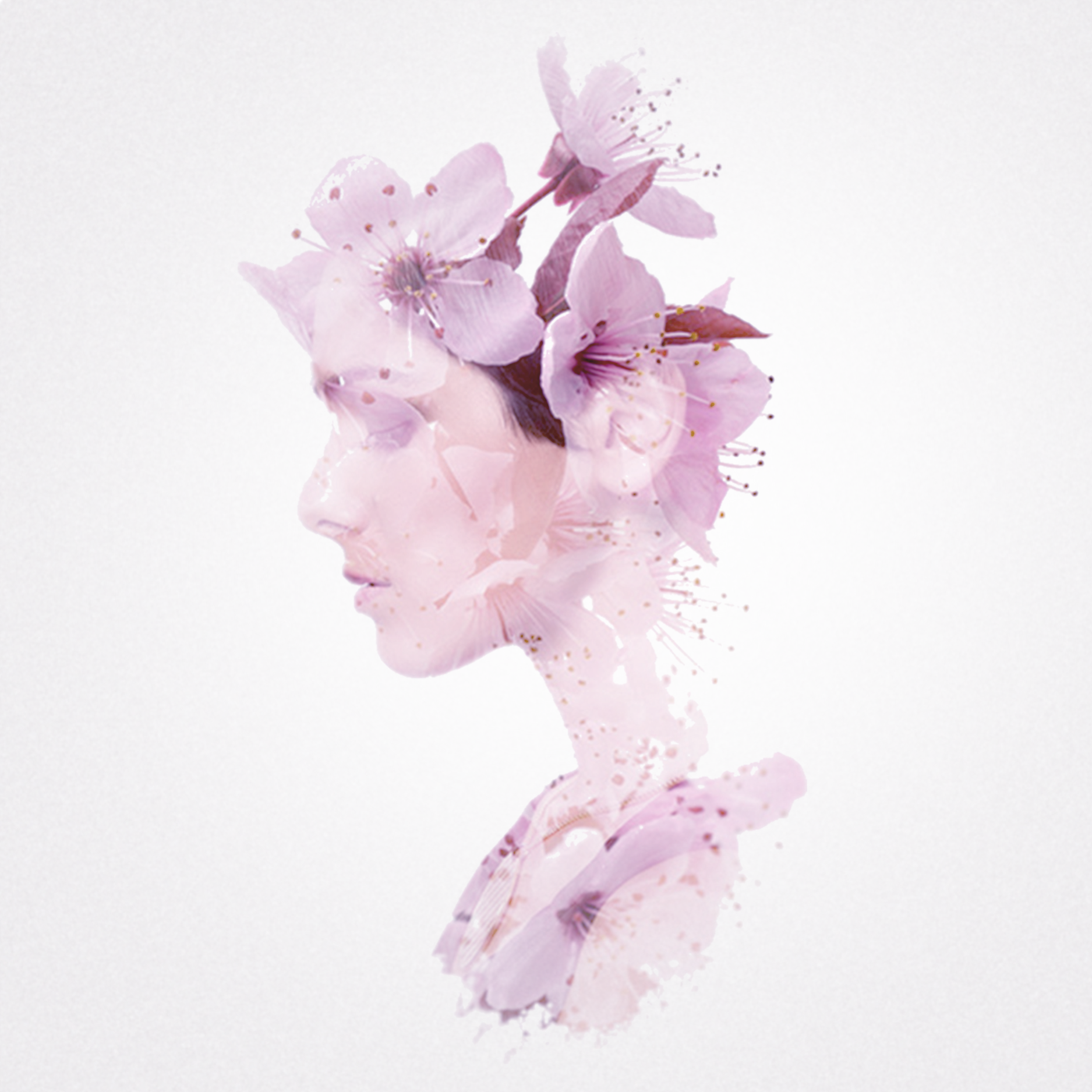           CEEK Corporate Awareness Campaign 