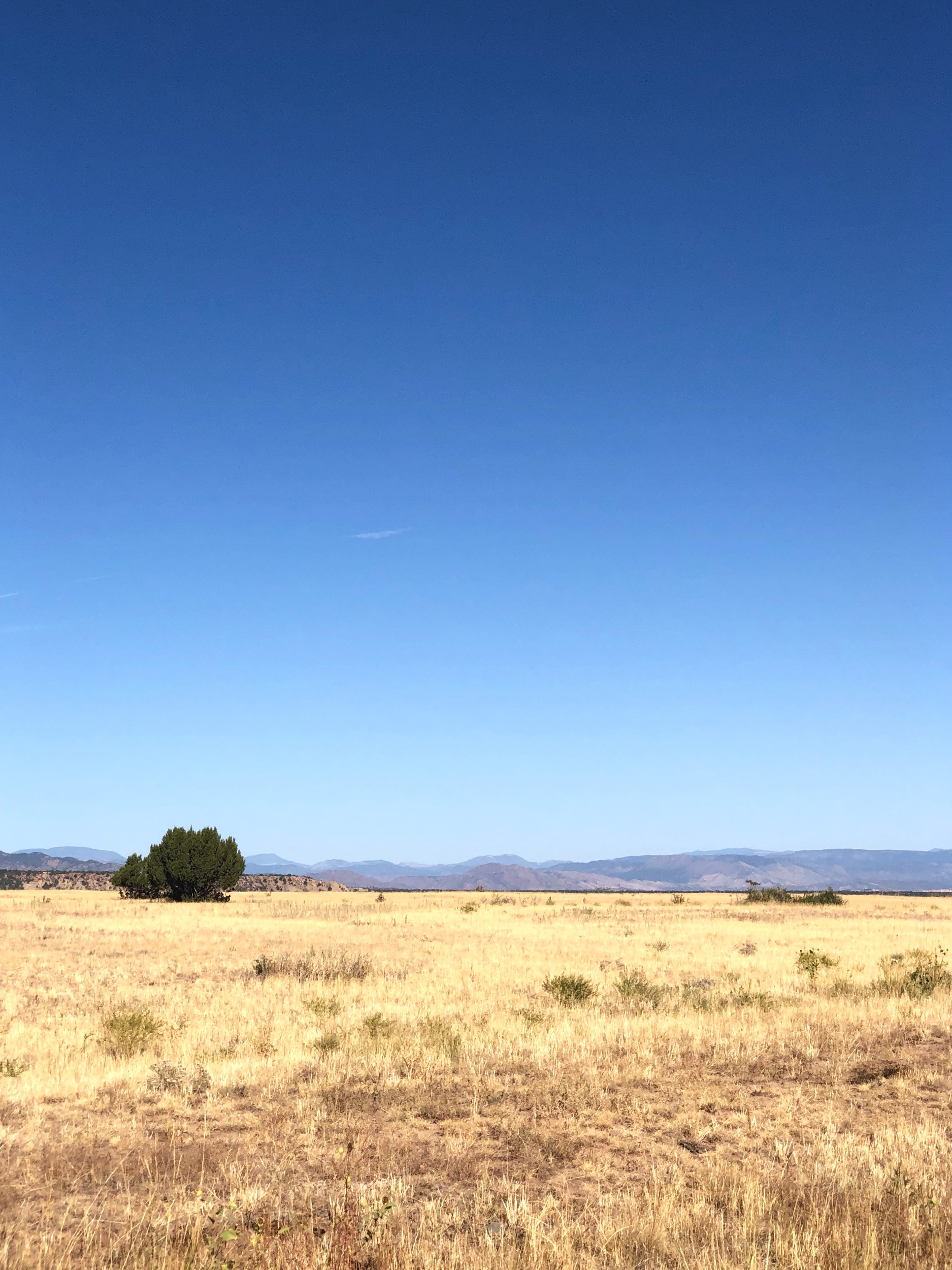 The mountains recede into the distance and the colors change ti yellows and browns.
