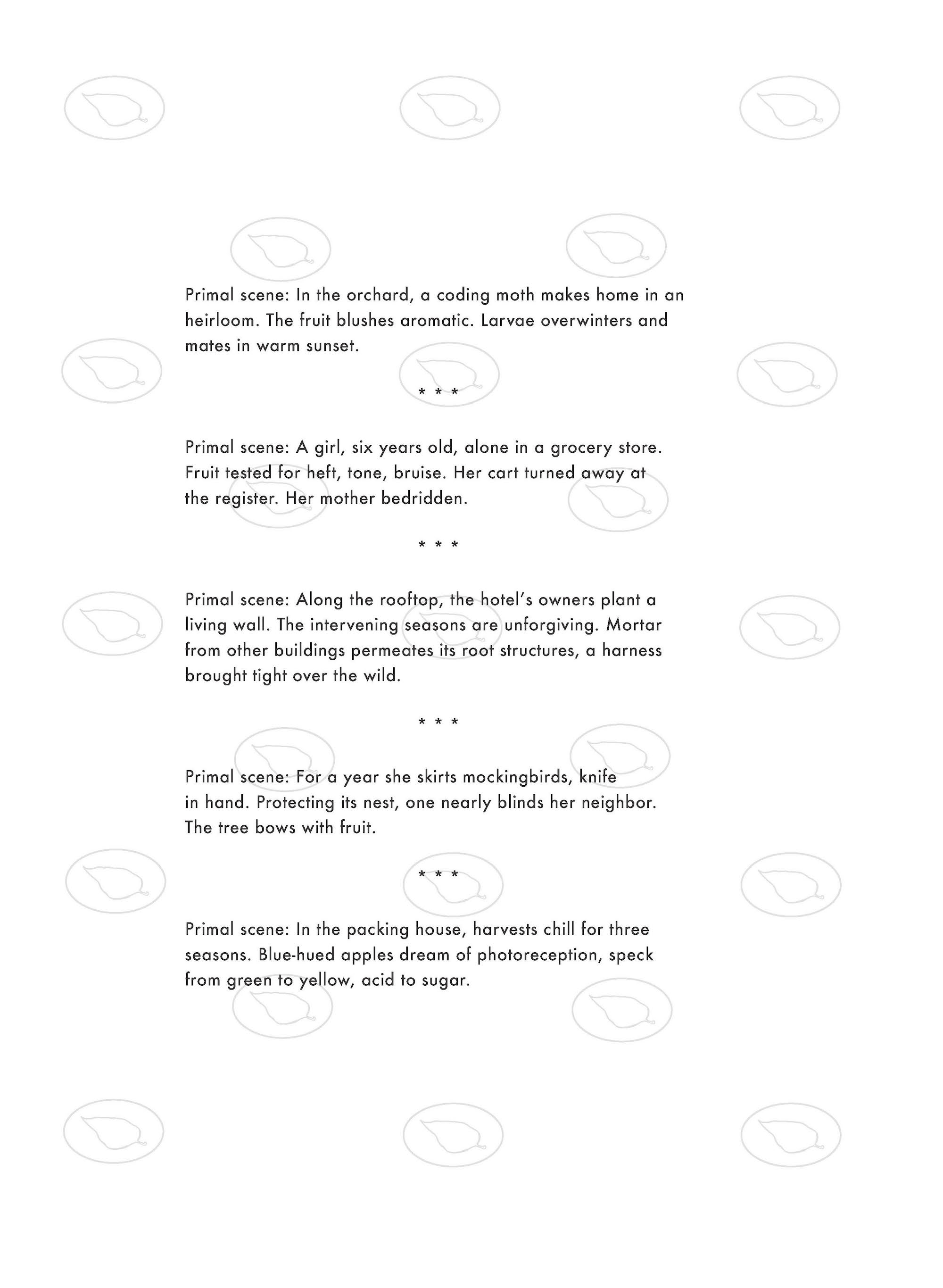 EvenTheApplePage1.jpg