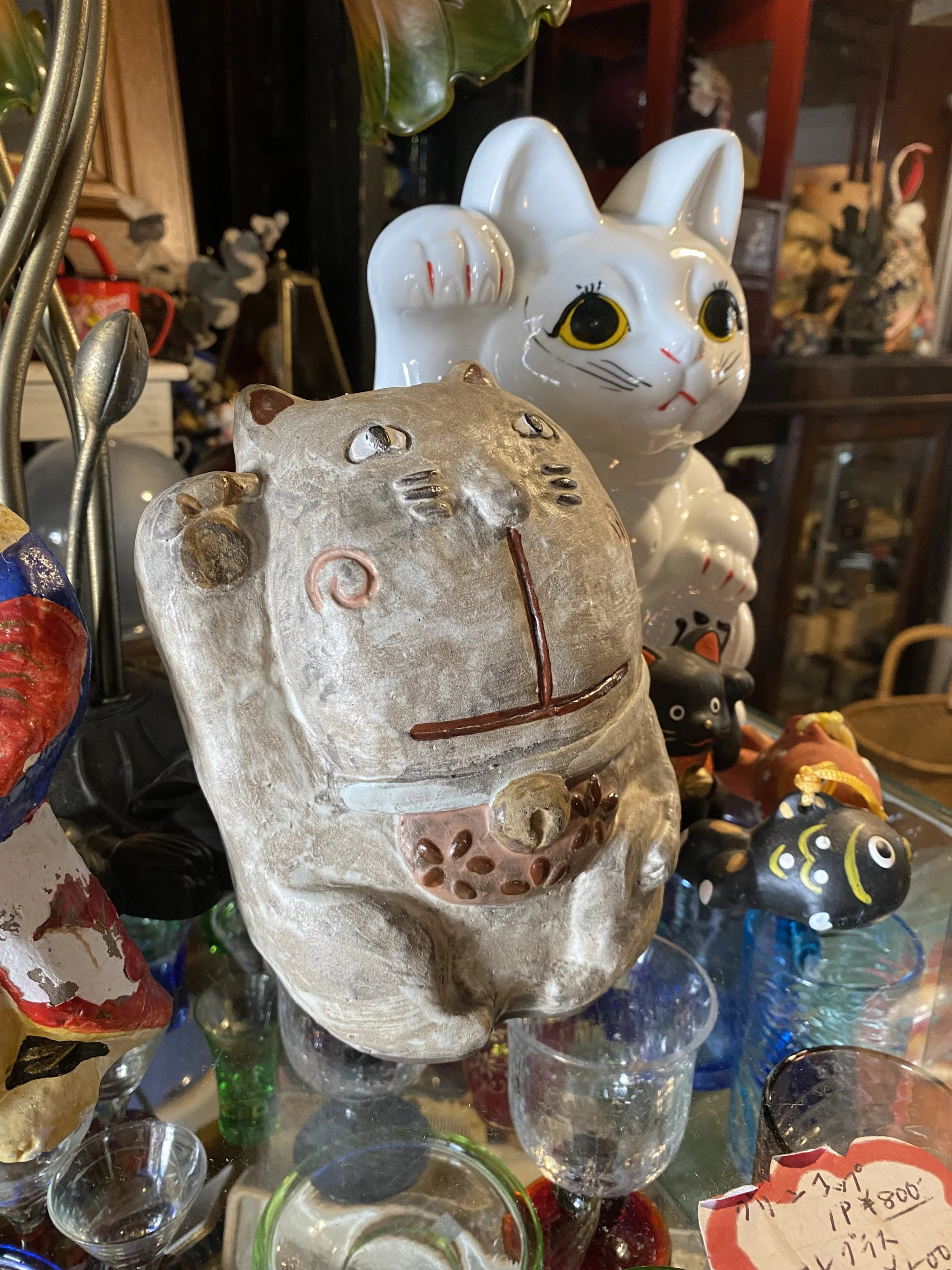 IMG_6385.jpeg