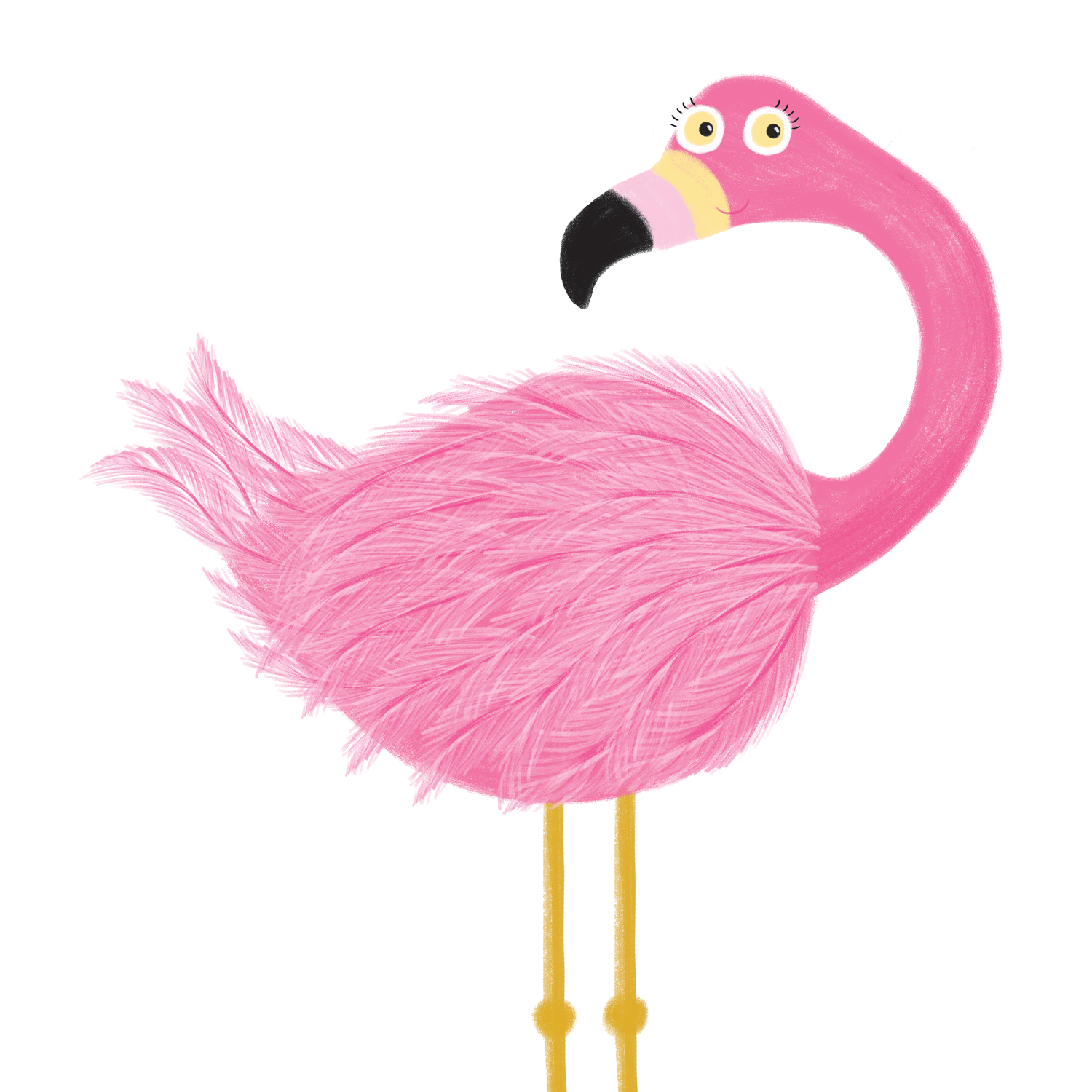 flamingo.png