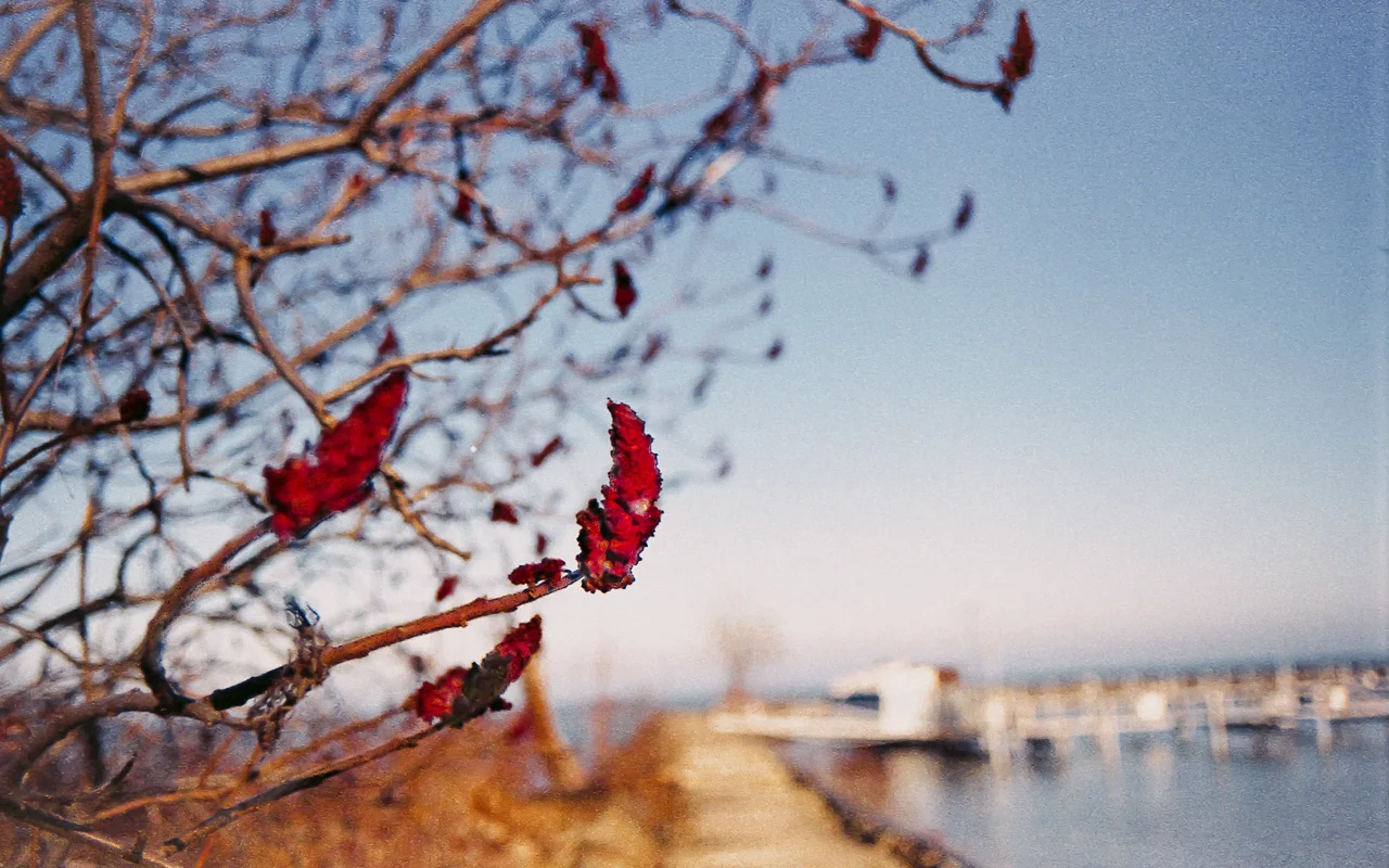 Fuji Superia 400 on Nikon F100 
