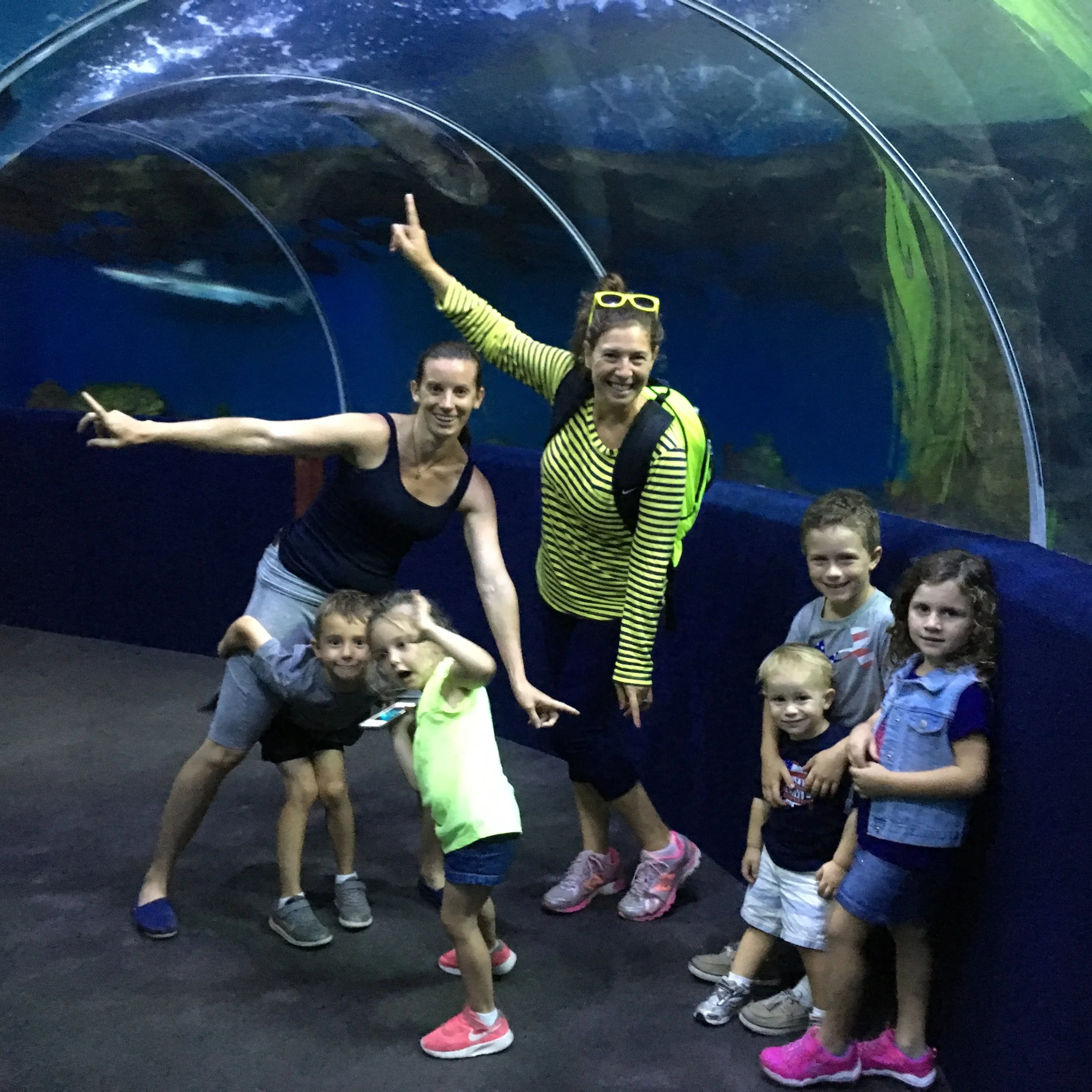 McCarthys and Berghoffs hit the aquarium
