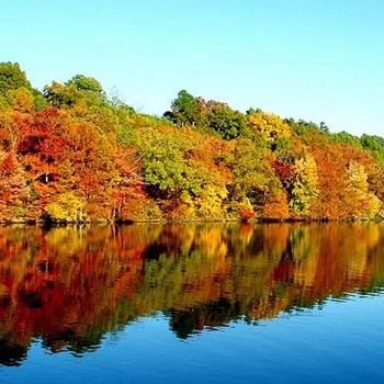 fall_on_river.jpg