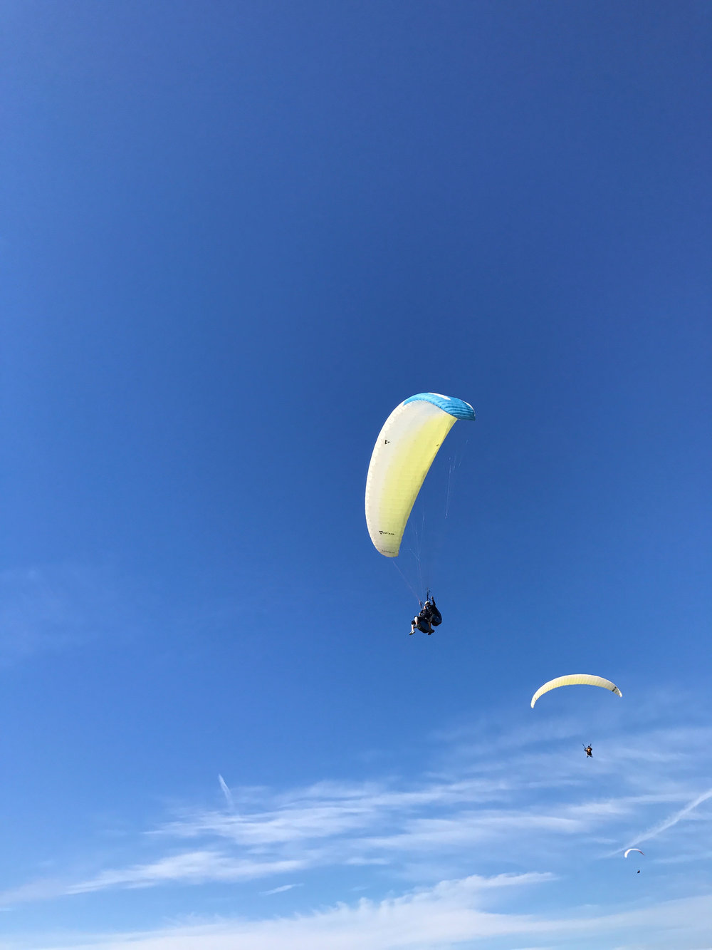 Paragliding above Black's Beach 