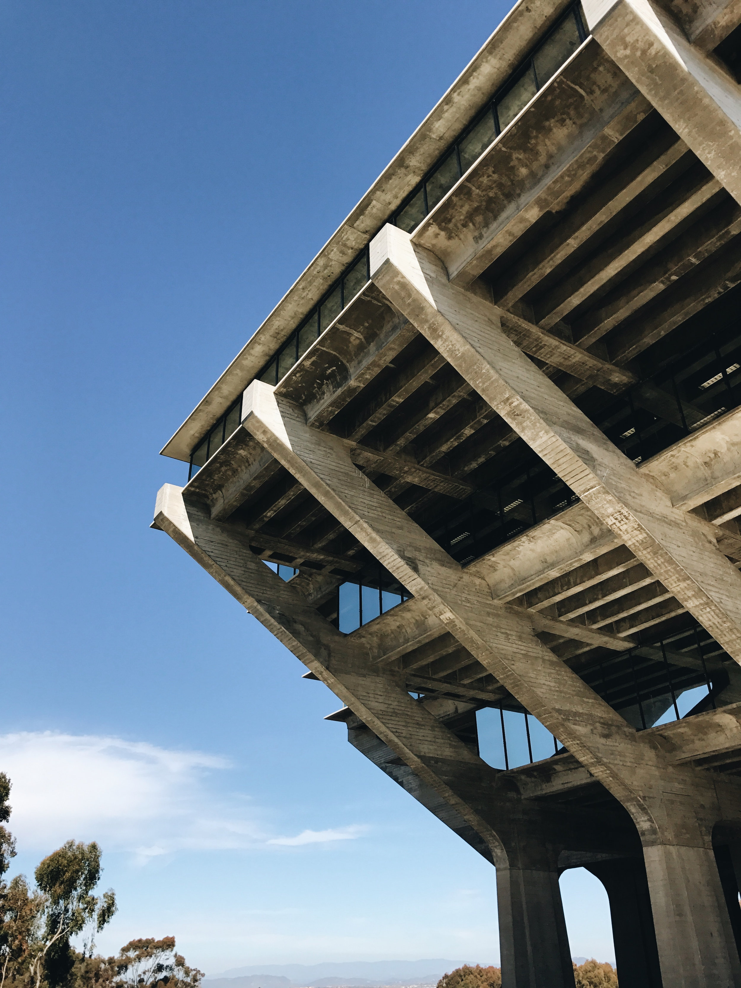 The Geisel Library