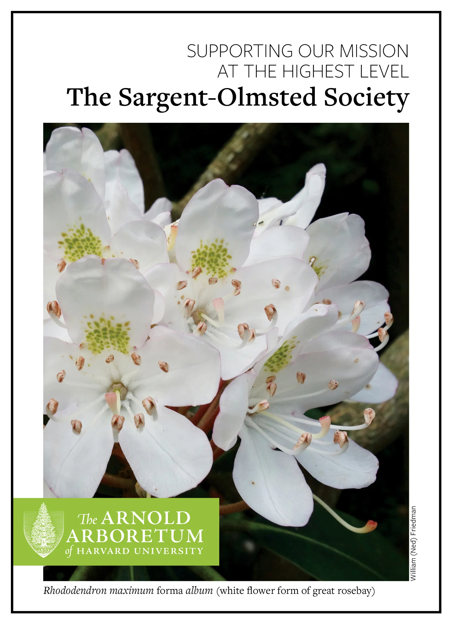 SARGENT OLMSTEAD cover.jpg