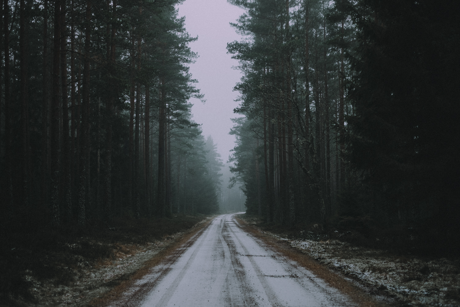 Roadtrip_RMS-243.jpg