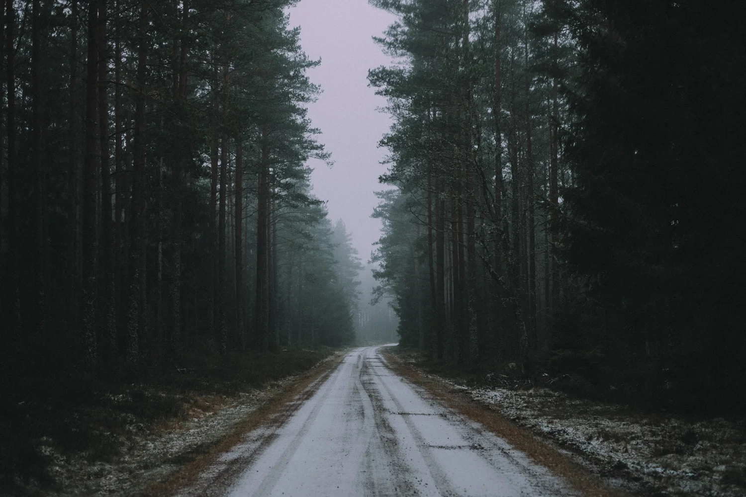 Roadtrip_RMS-243.jpg