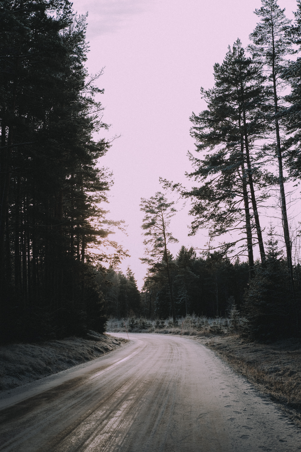Roadtrip_RMS-241.jpg