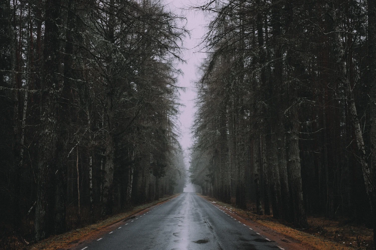 Roadtrip_RMS-176.jpg